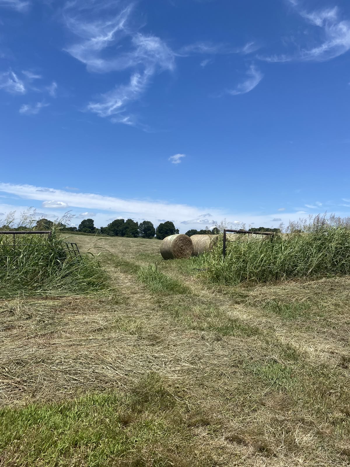 Open Nebraska hay field with round bales